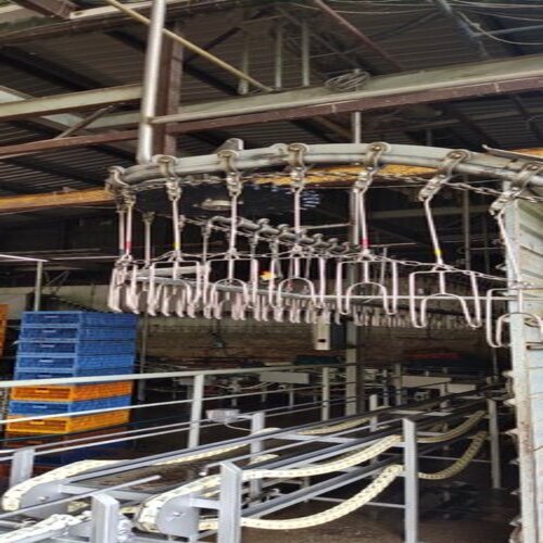 चिकन स्लॉटर हाउस आयाम (L* W* H): कस्टमाइज़ करें