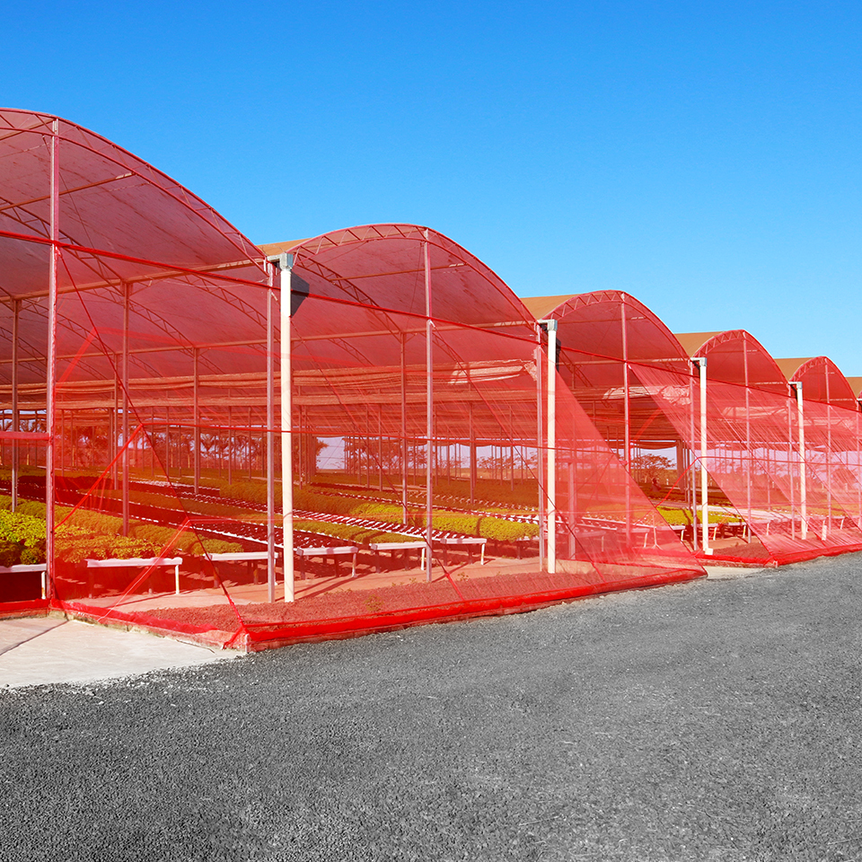 75% Agro Shade Net - Hdpe Material, Coated Finish , Uv Resistant Coating