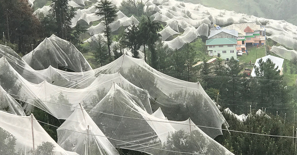 Uv Stabilize Anti Hail Net