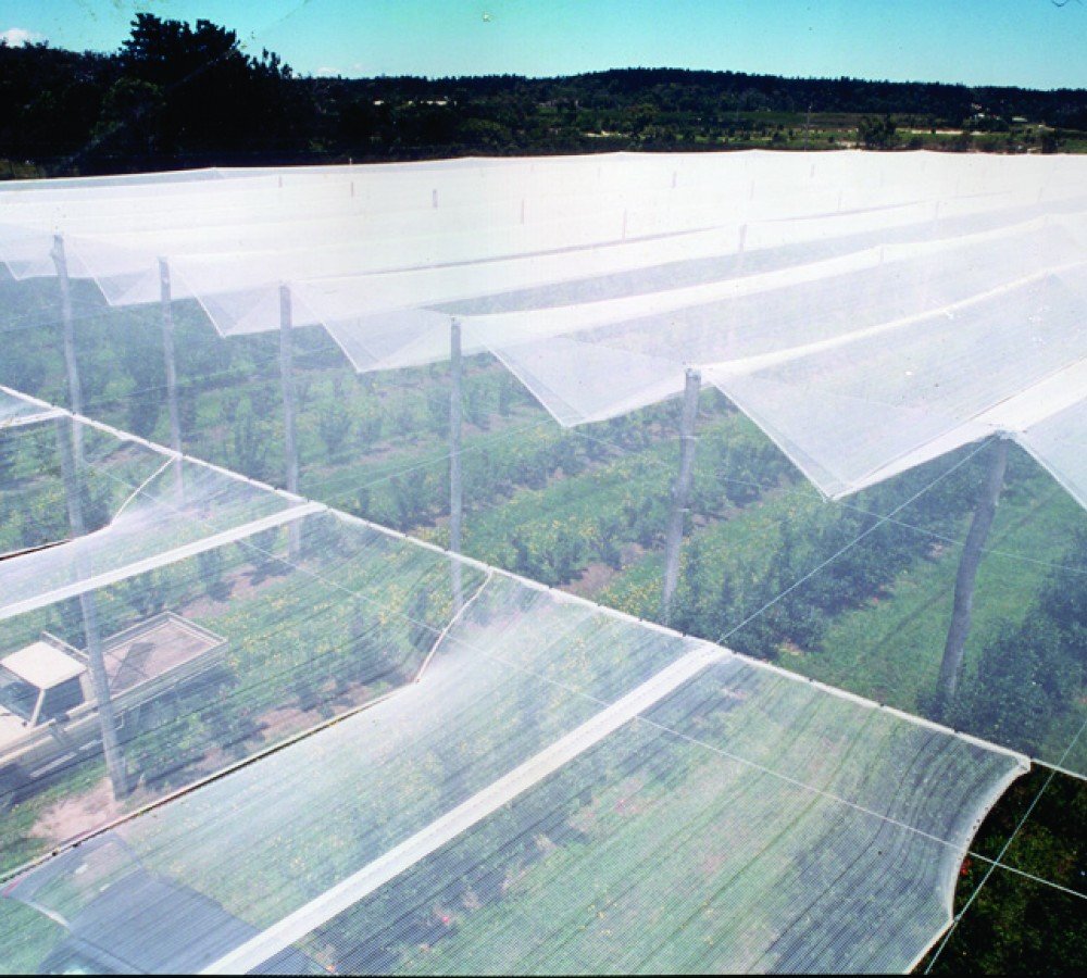Uv Stabilize Anti Hail Net