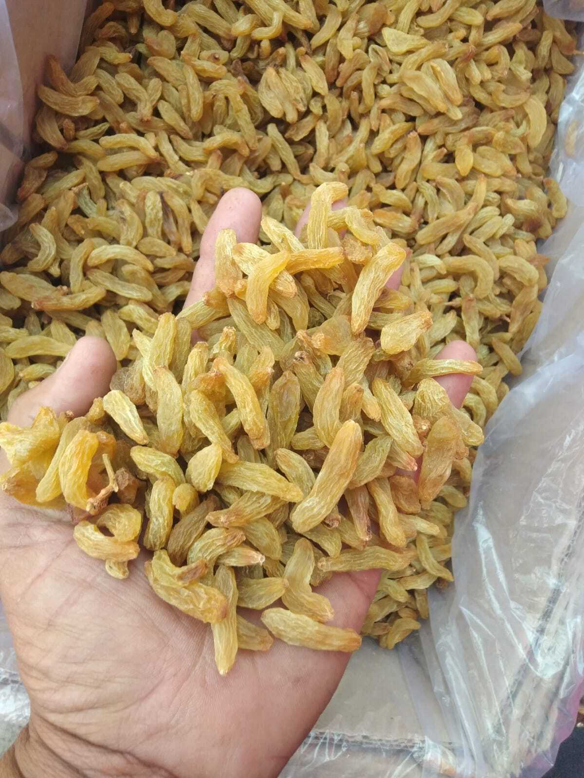 Vpl55 Raisins