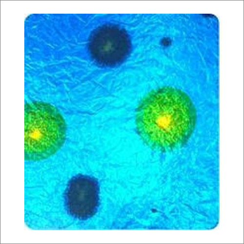 प्रिंटेड ग्लो प्लास्ट फाइबरग्लास शीट अनुप्रयोग: औद्योगिक