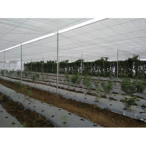 35% Agro Shade Net - Hdpe, Max 6m Width, Customized Length, Color As Per Request, Uv Stabilized, 50-80 Gsm Weight | Ideal For Nurseries, Stables, And Pens