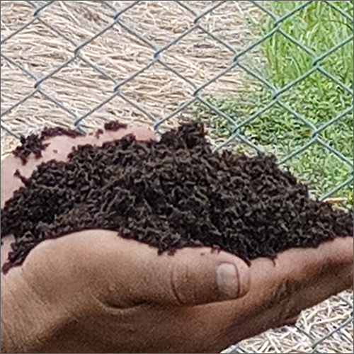 ऑर्गेनिक वर्मीकम्पोस्ट