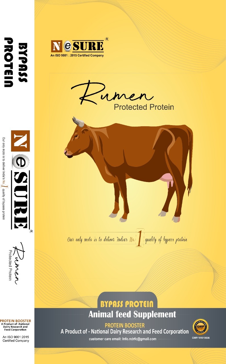 Nesure Bypass Protin - Physical Form: Powder