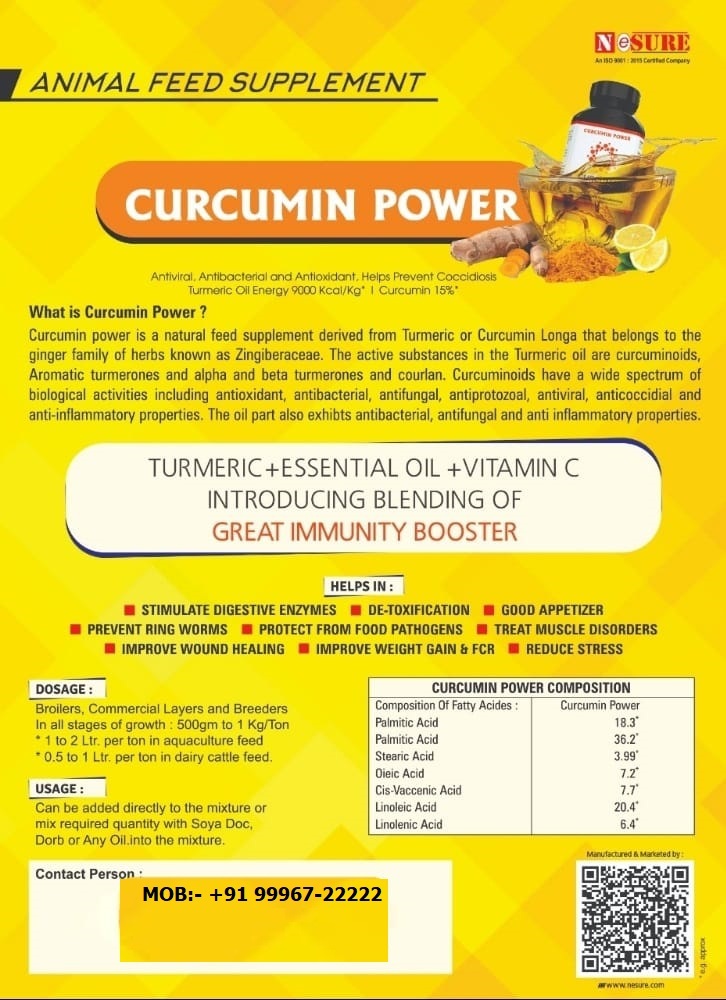 Curcumin Power Turmeric Oil - Powder Format | Stimulates Digestive Enzymes, Improves Feed Color, Reduces Stress, Enhances Weight Gain & Fcr