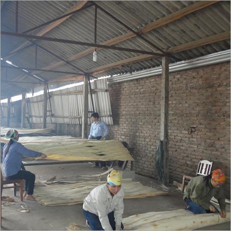 फेस वेनियर्स