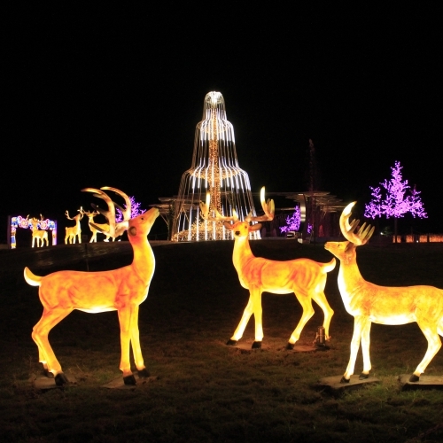 Unity Glow Garden Lighting