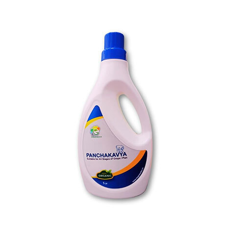 ग्रीनरिच पंचकाव्य