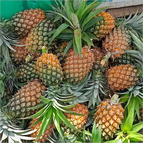 Natural Pineapple - Cultivation Type: Organic