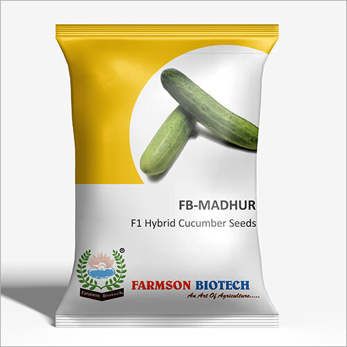 MADHUR F1 Hybrid Cucumber Seeds - 25 Grams | Hybrid Variety, 6 Months Shelf Life, Ideal for Commercial and Home Gardening