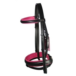 ब्रिडल ड्रेस