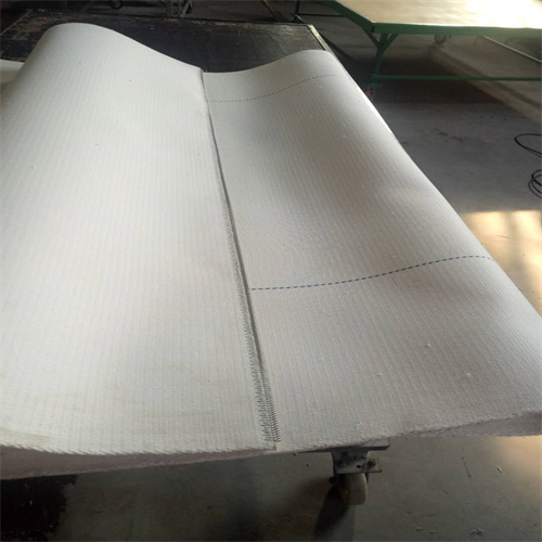 Lifting Conveyor Belt For Single Facer