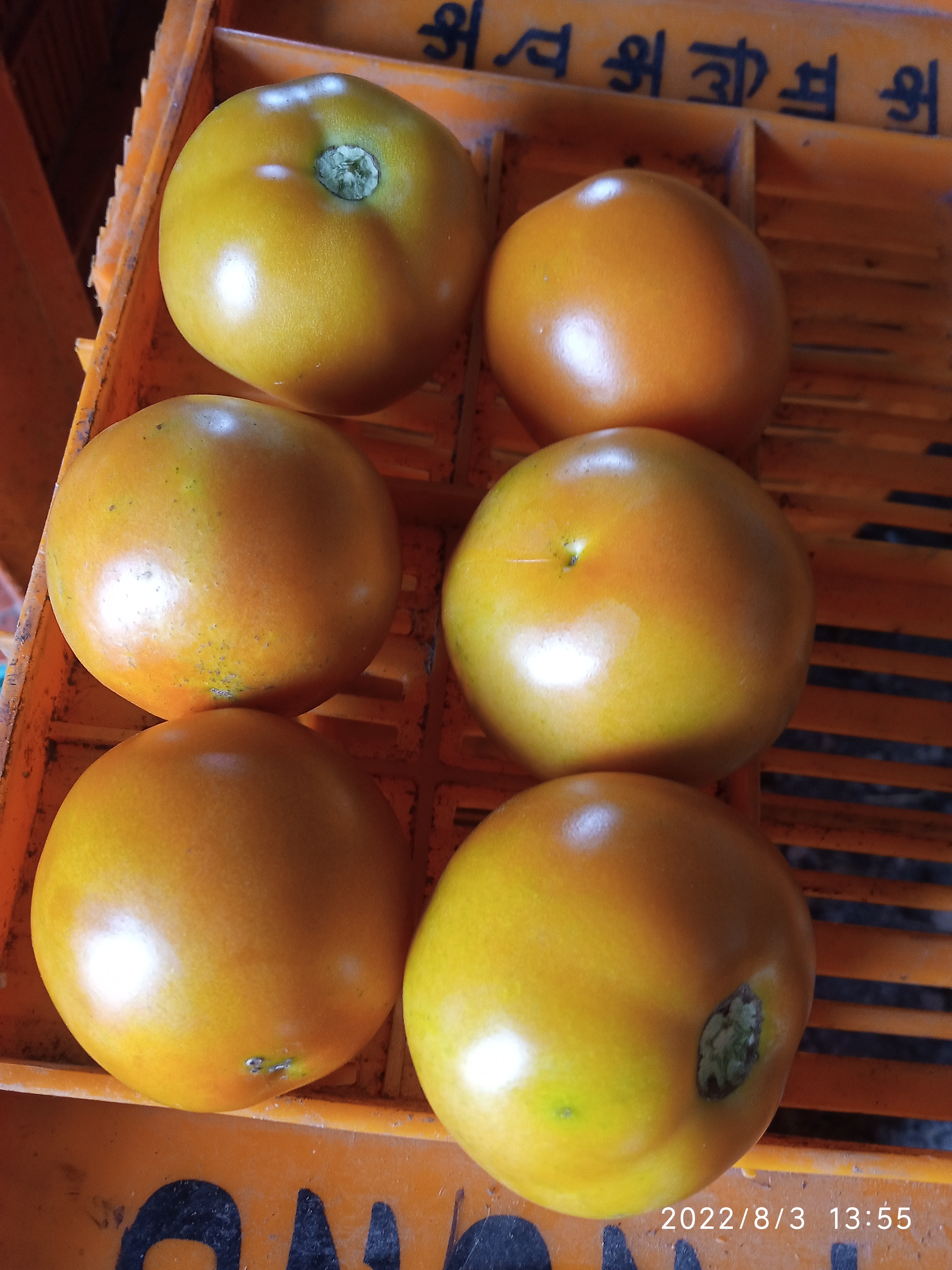 Fresh Tomatoes
