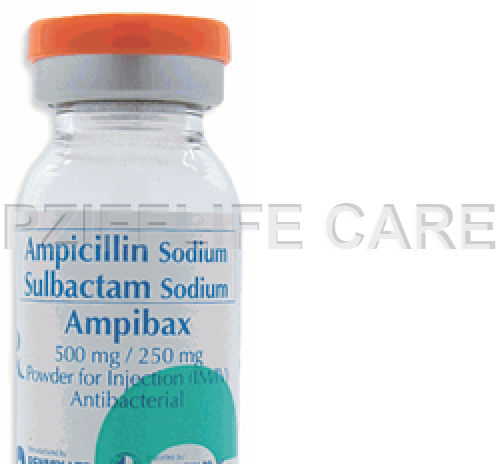 इंजेक्शन के लिए सुल्बैक्टम सोडियम के साथ तरल एम्पीसिलीन सोडियम Amphibax 500mg/250mg