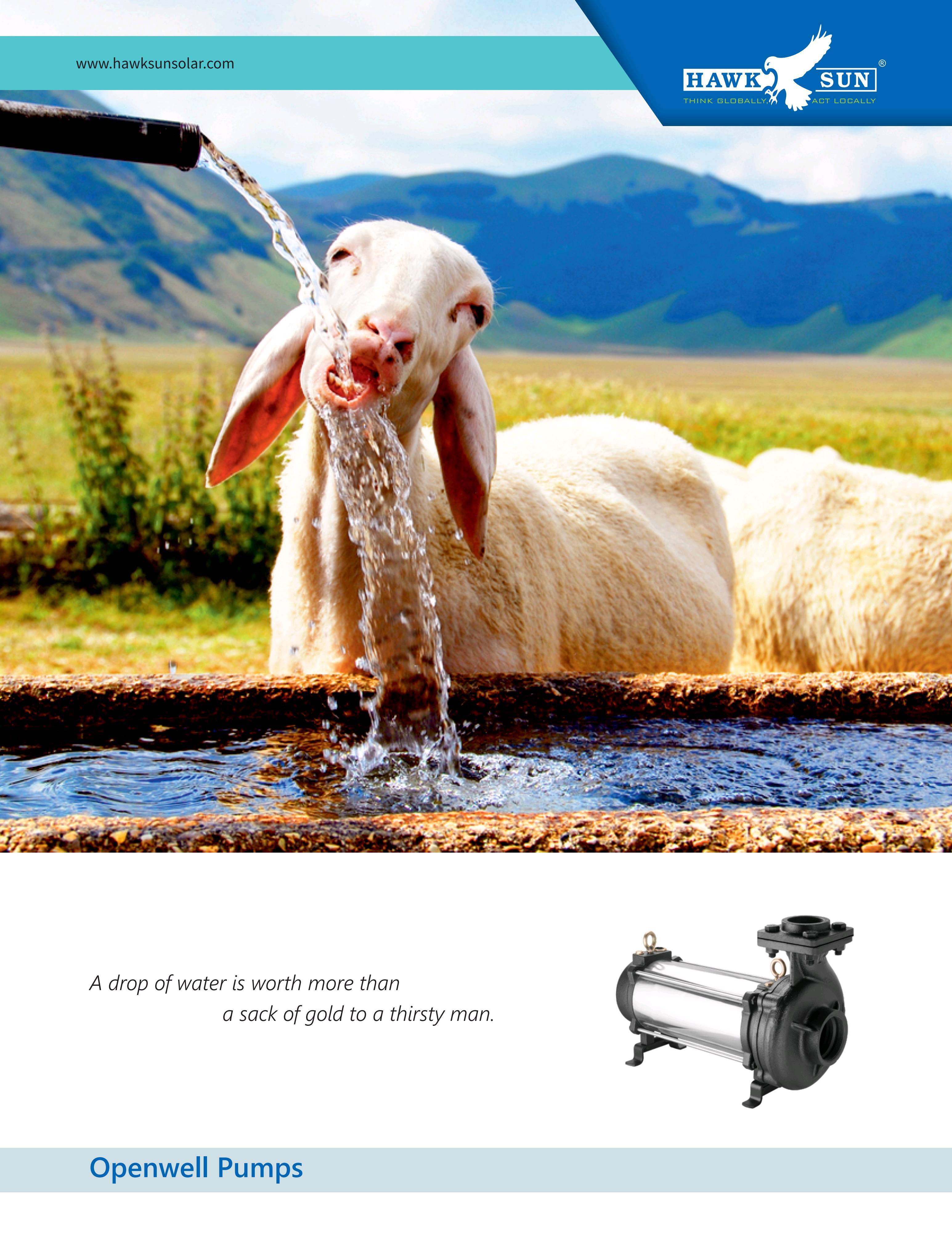 Ac Solar Openwell Pump