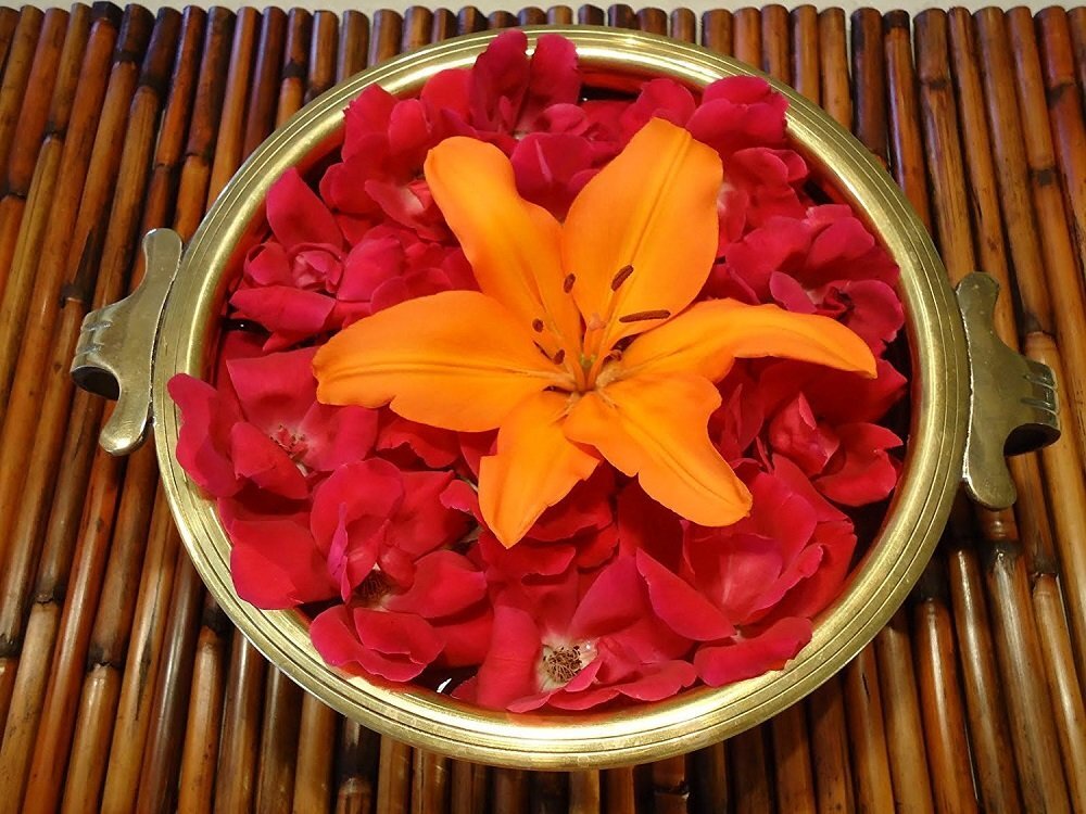 Handcrafted Brass Uuli Pot With Lacquer Finish Size Diameter10 X 4 In Decorative Showpiece - 10 Cm (Brass Gold)