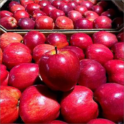 Fresh Apples - Color: Red