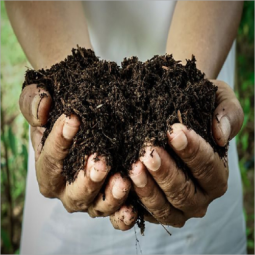 Vikasa Organic Organic Fertilizer - Application: Agriculture