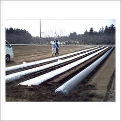 मल्चिंग फिल्म