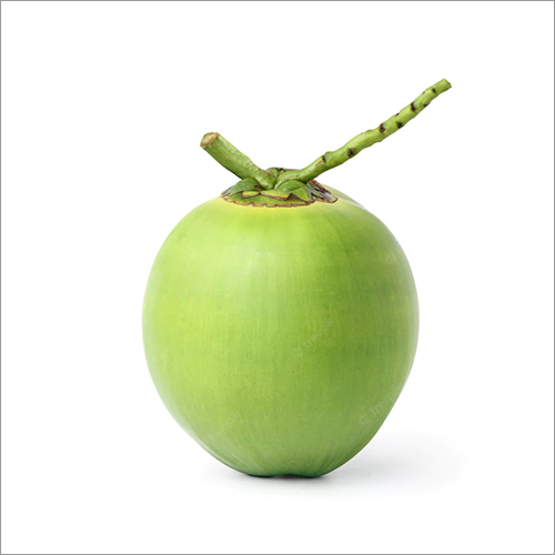 ग्रीन टेंडर कोकोनट ग्रेड A