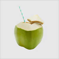 ताजा स्वस्थ निविदा नारियल