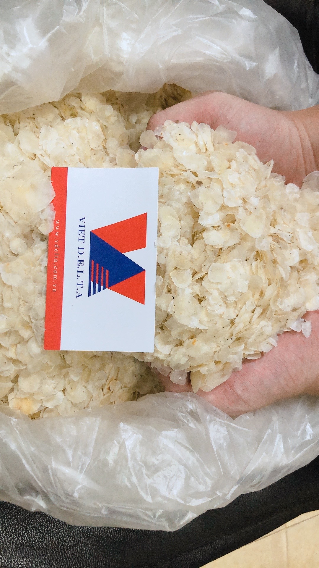 Collagen Dry Fish Scales