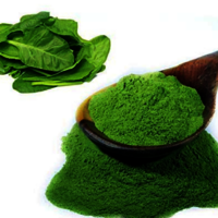 पालक पाउडर