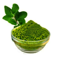 तुलसी के पत्ते का पाउडर