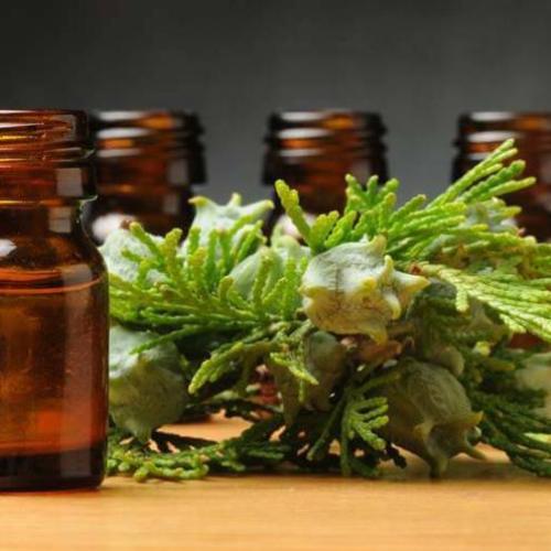 Cypress Oil Shelf Life: 1 Years