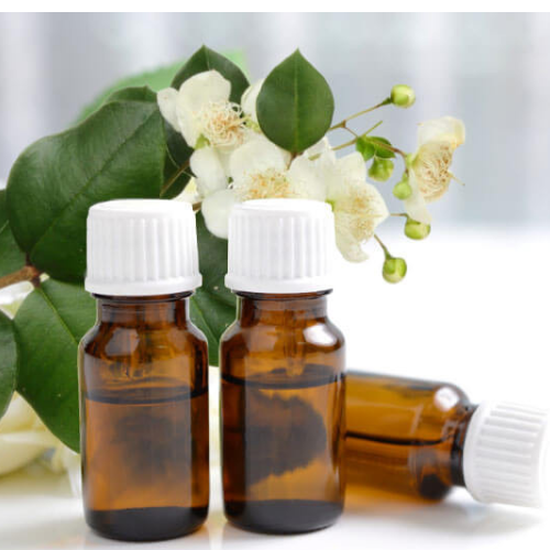 Organic Myrtle Oil Storage: Dry Place