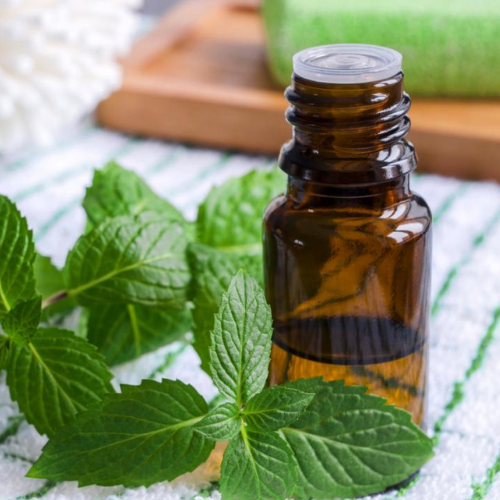 Peppermint Oil - 100% Pure Essential Oil | Fresh Peppermint Odour, Dry Storage, 1-Year Shelf Life