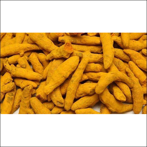 सूखी हल्दी