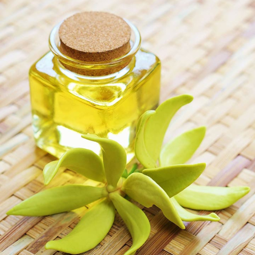 Ylang Ylang Oil Purity: 100%