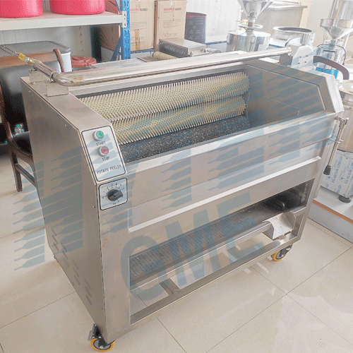 Fruits and Vegetables Washing & Peeling Machine - 200 Kg/hr Capacity | Stainless Steel, Compact Structure, Eco-Friendly, High Efficiency, Low Noise, Lower Energy Consumption