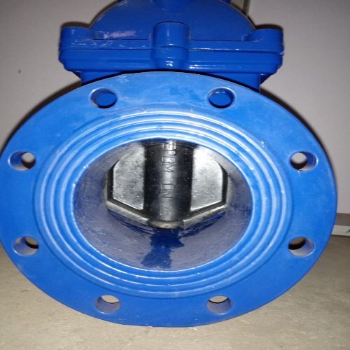 Blue Resilient Seated Gate Valve