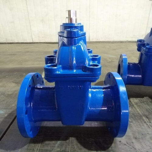 Blue Resilient Seated Gate Valve