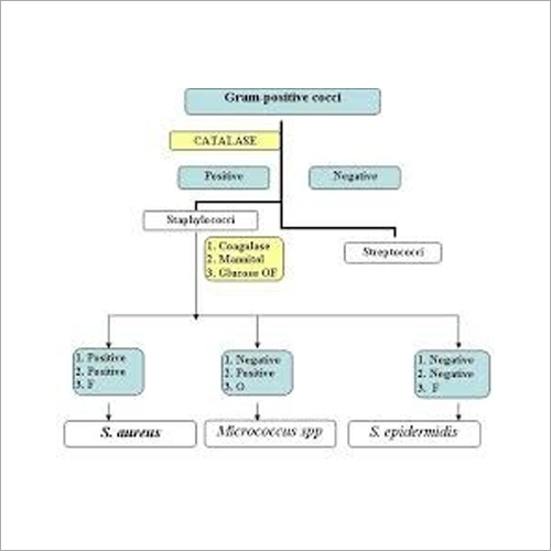 सकारात्मक पहचान सेवाएं