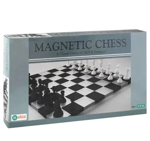 Multicolour Magnetic Chess Board Set