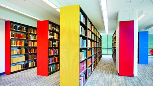 Double Faced Bookshelf - Solid Wood, Standard Size, Any Color | Modern Design, Indoor Furniture, 1 Year Warranty, Enchanting Presentation