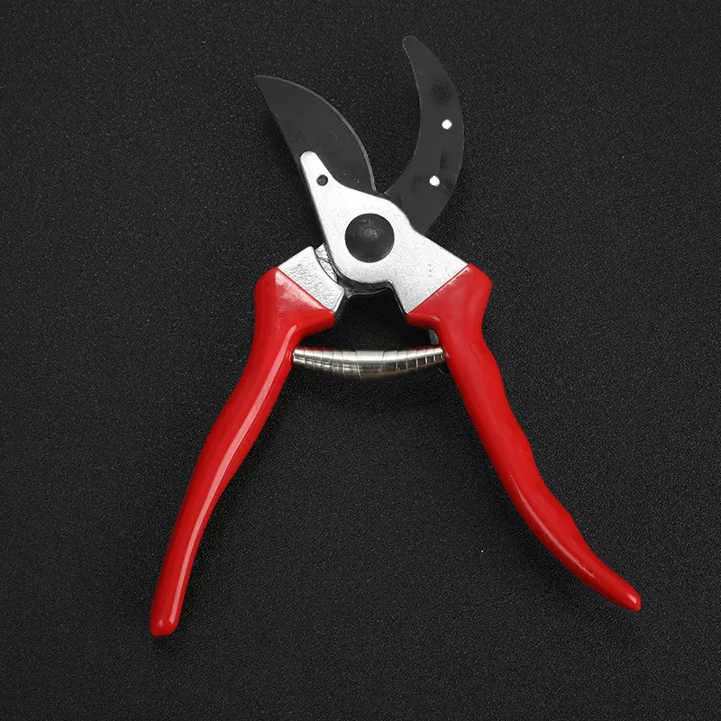 Scissor Shear