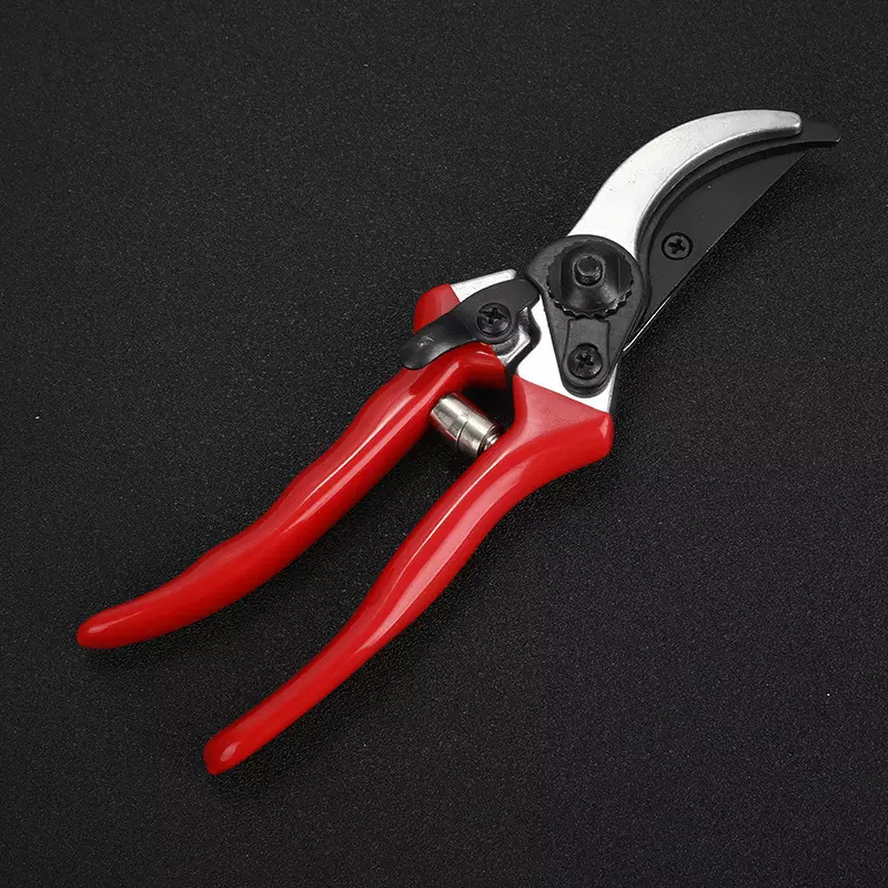 Scissor Shear