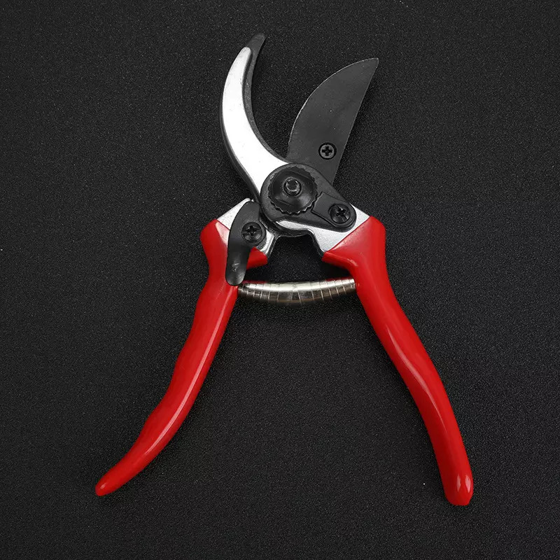 Scissor Shear