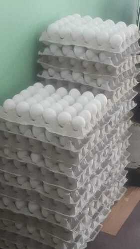 सफ़ेद अंडा
