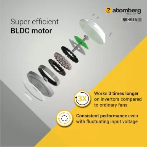 Motor With Remote 3 Blade Ceiling Fan