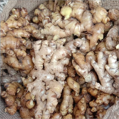 ताजा अदरक की नमी (%): नीला