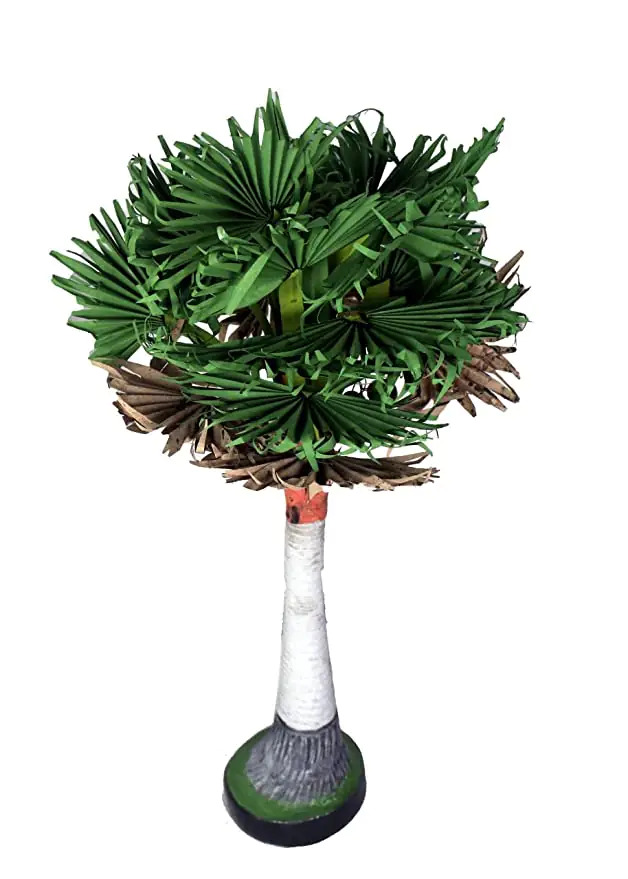 Palmyra Palm Tree