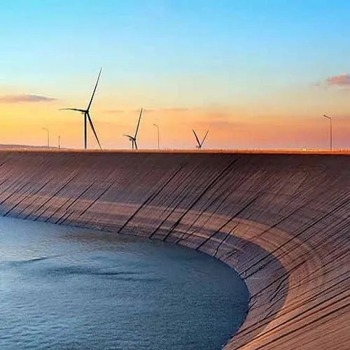 हिप्पो 500 माइक्रोन