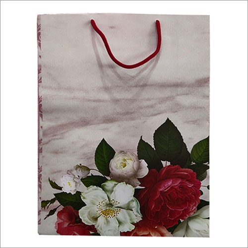 मॉइस्चर प्रूफ प्रिंटेड क्राफ्ट पेपर बैग