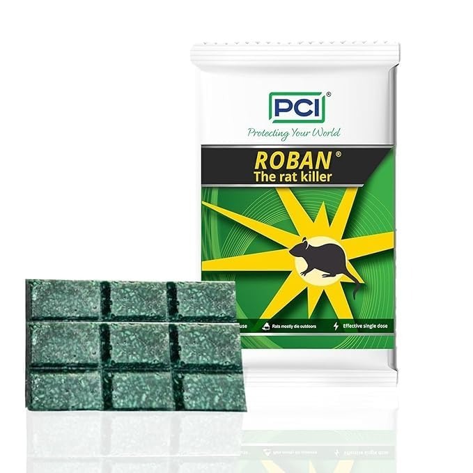 सॉलिड रोबन केक